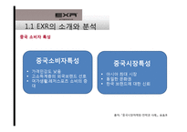 [국제경영] 캐포츠 EXR의 국내 및 해외시장 전략 현황-12