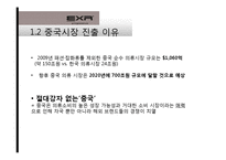 [국제경영] 캐포츠 EXR의 국내 및 해외시장 전략 현황-13