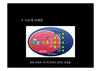 [마케팅] 다이렉트 마케팅-7