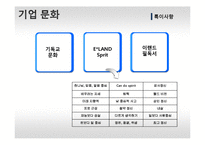 이랜드 기업분석-15