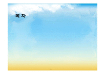 [국제경영전략] 무역기술장벽-2
