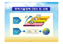 [국제경영전략] 무역기술장벽-6