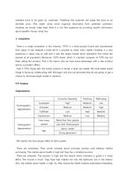 [마케팅] 웅진 Doctor LooLoo 닥터룰루 전략(영문)-4