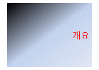 [의료관광 상품 기획서] 탈모 기획안-3