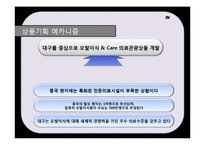 [의료관광 상품 기획서] 탈모 기획안-13