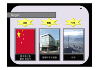 [의료관광 상품 기획서] 탈모 기획안-14