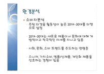 휴대용 칫솔 `핸디맨`의 마케팅 전략-4