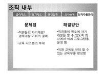 동신 섬유의 문제점과 해결방안-11