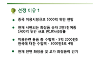 [국제 사업계획서] 포졸란 천연 비누 중국 비즈니스 사업 모델-6