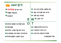 [국제 사업계획서] 포졸란 천연 비누 중국 비즈니스 사업 모델-9