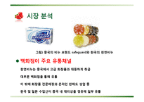 [국제 사업계획서] 포졸란 천연 비누 중국 비즈니스 사업 모델-13