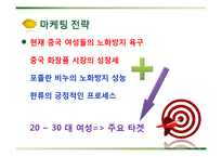 [국제 사업계획서] 포졸란 천연 비누 중국 비즈니스 사업 모델-15