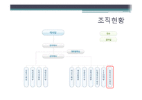 [경영정보] 업무 정보화 현황-4