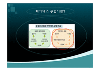 [글로벌경영] 포스코 베트남 해외진출-11