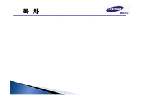 [국제마케팅] 제일모직 패션분야에서 해외성공사례조사-2