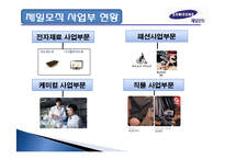 [국제마케팅] 제일모직 패션분야에서 해외성공사례조사-3