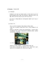[마케팅] 배상면주가 `느린마을 막걸리` 마케팅전략수립계획-12