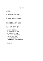 유로화의 위기와 미래-2