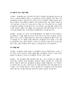코카콜라와 펩시의 마케팅 사례-17