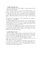 [해외시장조사론] 오로라월드 수출 진입장벽-11