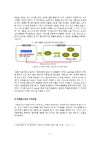 [서비스마케팅] 소셜 커머스 티켓몬스터 분석-8