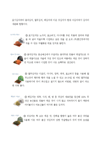 [마케팅] 홍진경의 `더 김치` 마케팅 사례 분석-10