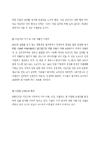 [마케팅] 홍진경의 `더 김치` 마케팅 사례 분석-11