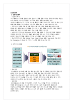 [재무관리] LG Display(LG디스플레이) 기업경영분석-6