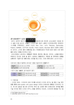 마케팅 사례 분석-20