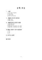 환율변동이 우리경제에 미치는 영향과 경제 주체별 대응방안-2