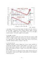 환율변동이 우리경제에 미치는 영향과 경제 주체별 대응방안-10