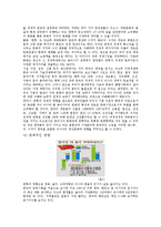 [관광자원론] 한류의 성공요인, 영향 및 한류 자원 -영상문화관광-8