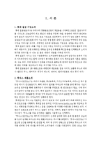 핫식스(Hot6ix) 광고 전략-3