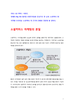 [유통전략론] 소셜커머스 Social Commerce의 발달에 따른 유통구조의 변화-7