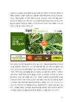 [유통전략론] 소셜커머스 Social Commerce의 발달에 따른 유통구조의 변화-14