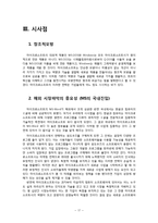마이크로소프트 분석-17
