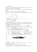 [서비스마케팅] 매드 포 갈릭 이탈리아 와인 비스트로 성장과 한계-2