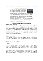 펩시의 마케팅전략-12