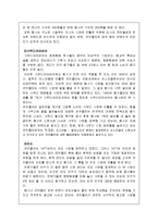 펩시의 마케팅전략-13
