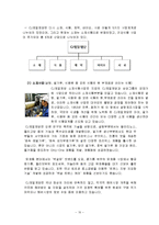[조직론] CJ제일제당의 조직구조, 사업부제-10