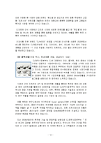 [조직론] CJ제일제당의 조직구조, 사업부제-12