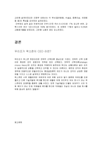 팍스콘(Foxconn) 조직의 문제점-8