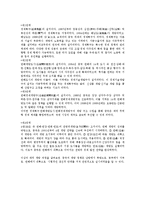 [국제경영] 중국에 봉추찜닭 수출 마케팅-9
