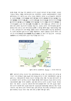 [국제경영] 중국에 봉추찜닭 수출 마케팅-17