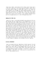 [국제경영] 중국에 봉추찜닭 수출 마케팅-19