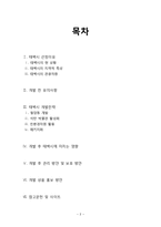 지속가능한 관광상품 개발 -태백시 개발전략-2