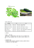 지속가능한 관광상품 개발 -태백시 개발전략-14