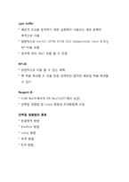 단백질 정량법 결과 레포트-2
