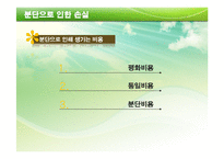 도덕과 교수학습지도안(남북 분단의 아픔)-9