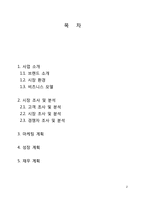 [사업계획서] 음악인 커뮤니티 SNS 사업계획서-2